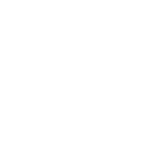 Driver