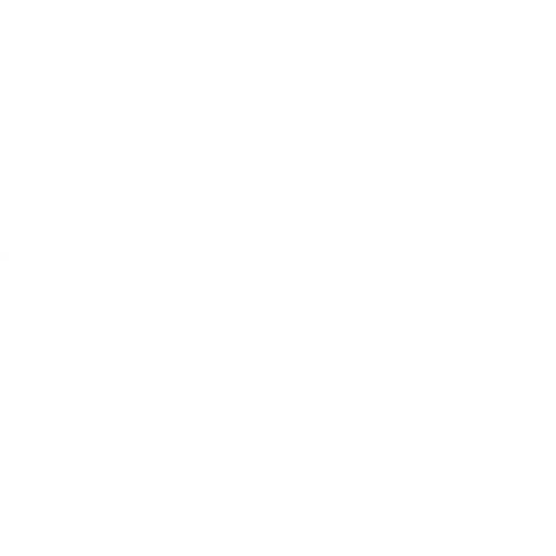 Options